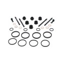 Kit reparación pinza de freno ALL BALLS 18-3172