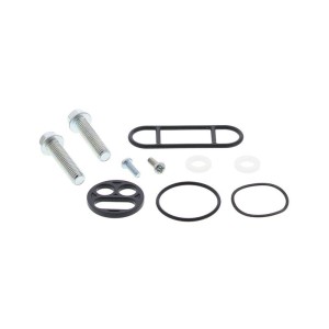 Kit reparación grifo de gasolina ALL BALLS 60-1095