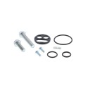 Kit reparación grifo de gasolina ALL BALLS 60-1111