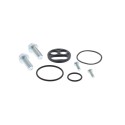 Kit reparación grifo de gasolina ALL BALLS 60-1105
