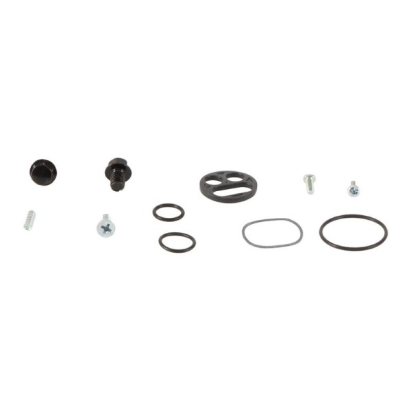 Kit reparación grifo de gasolina ALL BALLS 60-1142