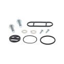Kit reparación grifo de gasolina ALL BALLS 60-1012