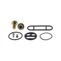 Kit reparación grifo de gasolina ALL BALLS 60-1049