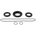 Kit retenes de diferencial trasero ALL BALLS 25-2106-5