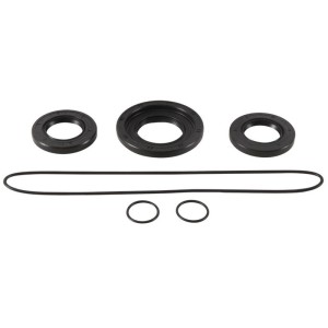 Kit retenes de diferencial trasero ALL BALLS 25-2106-5