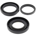 Kit retenes de diferencial trasero ALL BALLS 25-2070-5