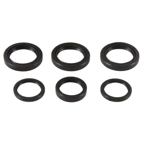 Kit retenes de diferencial delantero ALL BALLS 25-2065-5