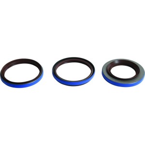 Kit retenes de diferencial trasero ALL BALLS 25-2098-5