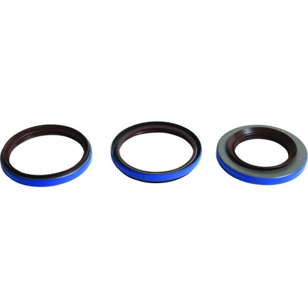 Kit retenes de diferencial trasero ALL BALLS 25-2098-5