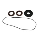 Kit retenes de diferencial trasero ALL BALLS 25-2088-5