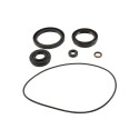 Kit retenes de diferencial delantero ALL BALLS 25-2120-5