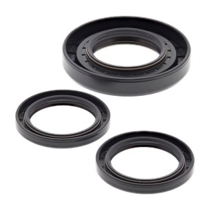 Kit retenes de diferencial trasero ALL BALLS 25-2079-5