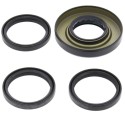 Kit retenes de diferencial trasero ALL BALLS 25-2009-5