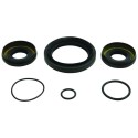 Kit retenes de diferencial delantero ALL BALLS 25-2110-5