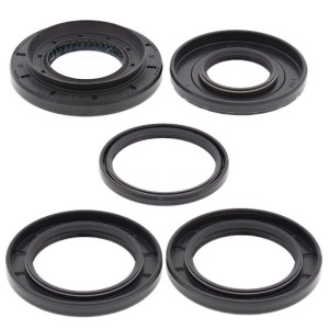 Kit retenes de diferencial trasero ALL BALLS 25-2048-5