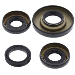 Kit retenes de diferencial delantero ALL BALLS 25-2006-5