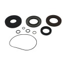 Kit retenes de transeje ALL BALLS 25-2113-5
