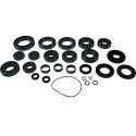 Kit rodamientos y retenes de transeje ALL BALLS 25-2113