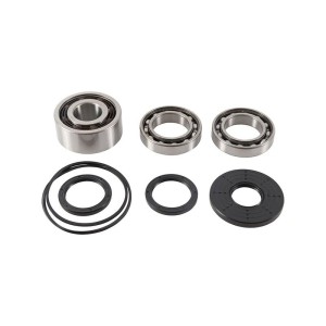 Kit rodamientos y retenes de diferencial delantero ALL BALLS 25-2108