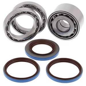 Kit rodamientos y retenes de diferencial trasero ALL BALLS 25-2098