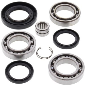 Kit rodamientos y retenes de diferencial trasero ALL BALLS 25-2079