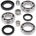 Kit rodamientos y retenes de diferencial trasero ALL BALLS 25-2020