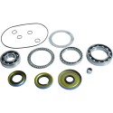 Kit rodamientos y retenes de diferencial delantero ALL BALLS 25-2121