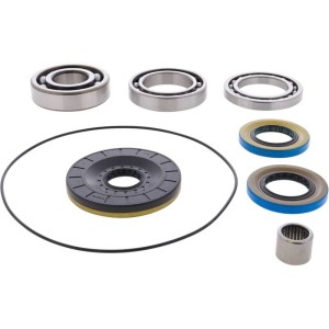 Kit rodamientos y retenes de diferencial trasero ALL BALLS 25-2150