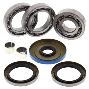 Kit rodamientos y retenes de diferencial trasero ALL BALLS 25-2096
