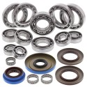 Kit rodamientos y retenes de transeje ALL BALLS 25-2103
