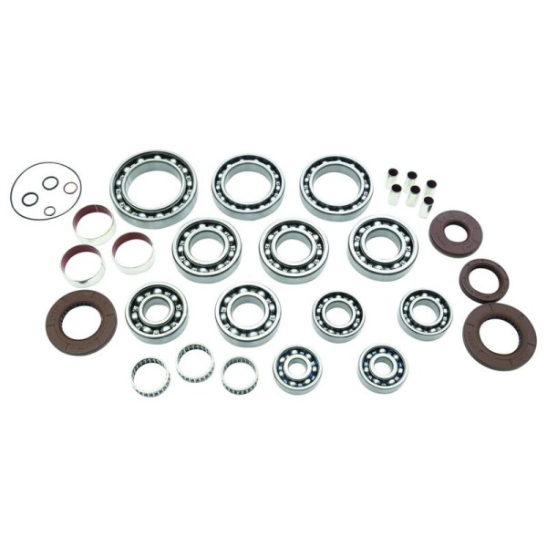 Kit rodamientos y retenes de transeje ALL BALLS 25-2114