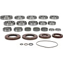 Kit rodamientos y retenes de transeje ALL BALLS 25-2143
