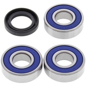 Kit de rodamientos de rueda ALL BALLS 25-1370