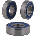 Kit de rodamientos de rueda ALL BALLS 25-1844