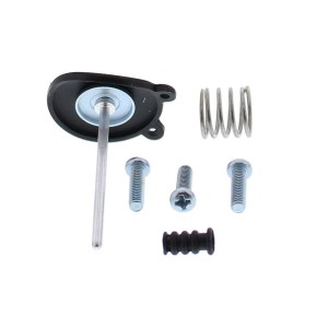 Kit reparación bomba de aceleración ALL BALLS 46-3010