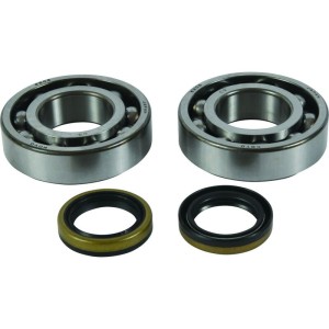 Kit de rodamientos y retenes de cigüeñal ALL BALLS 24-1122