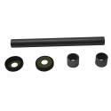 Kit rodamientos de basculante ALL BALLS 28-1224