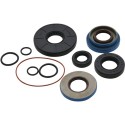 Kit revisión caja de cambios ALL BALLS 25-7119