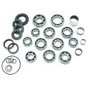 Kit revisión caja de cambios ALL BALLS 25-7011