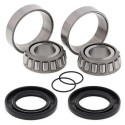 Kit rodamientos de basculante All Balls 28-1058