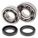 Kit rodamientos y retenes de cigüeñal All Balls 24-1043