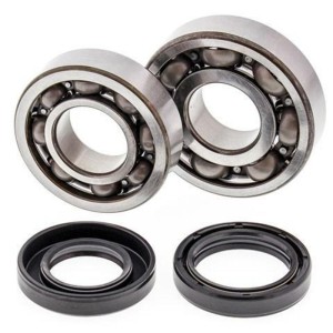 Kit rodamientos y retenes de cigüeñal All Balls 24-1043