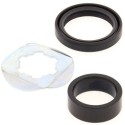 Kit de reparacion piñon de salida All Balls 25-4022