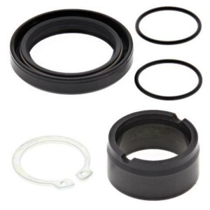 Kit de reparación piñón de salida ALL BALLS - Kawasaki KLX250R/300R 25-4038