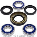 Kit de rodamientos rueda All Balls 25-1037