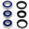 Kit de rodamientos rueda All Balls 25-1095
