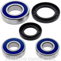 Kit de rodamientos rueda All Balls 25-1449