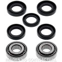 Kit de rodamientos rueda All Balls 25-1523