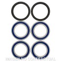Kit de rodamientos rueda All Balls 25-1565