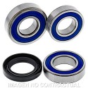 Kit de rodamientos rueda All Balls 25-1720